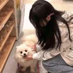 寒刃2正版下载